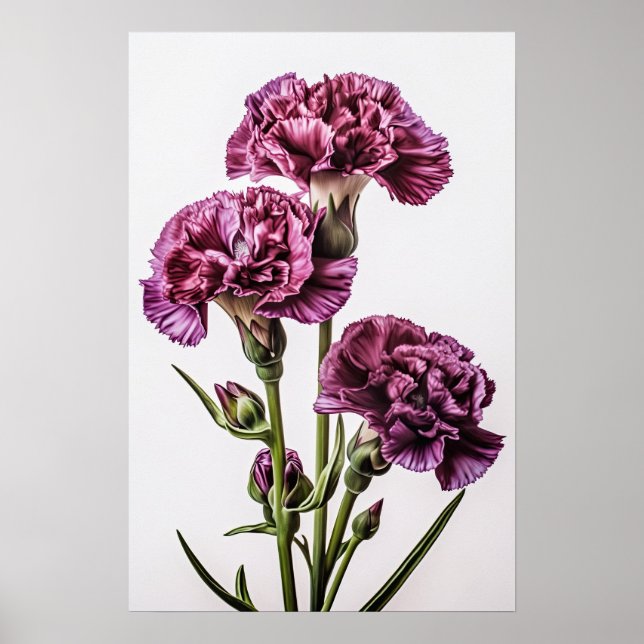 Cartaz de Impressão de Arte de Flor de Cravos Roxo (Frente)