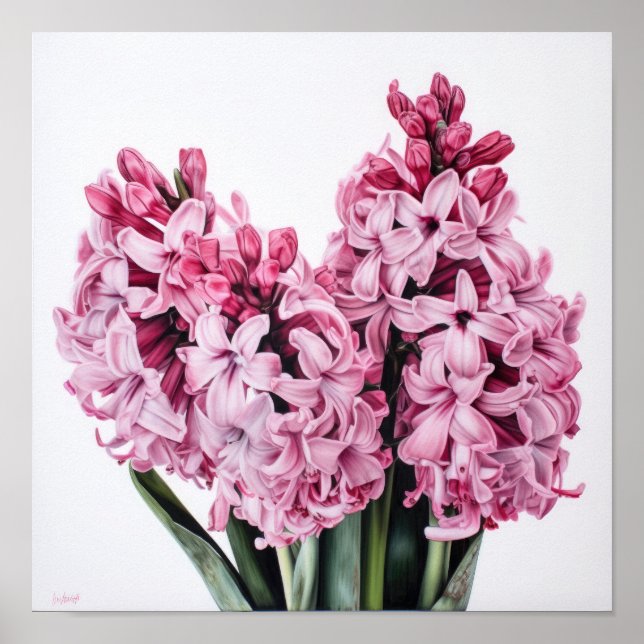 Cartaz de Impressão de Arte de Flor de Jacinto Ros (Frente)