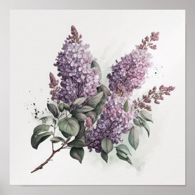 Cartaz de Impressão de Arte de Flores de Lilás  (Frente)