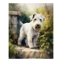 Cartaz de Impressão de Arte do Cão Sealyham Terrie