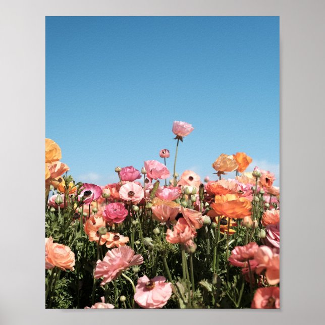 Cartaz de impressão de campo de flores coloridas (Frente)
