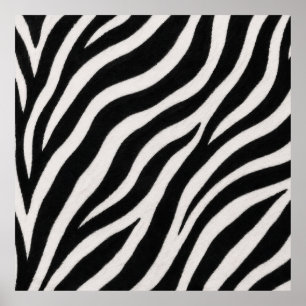 Cartaz de Impressão de Zebra Elegante Decoração Co