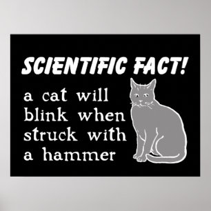 Cartaz de Impressão Divertida Martelo de Gato Humo