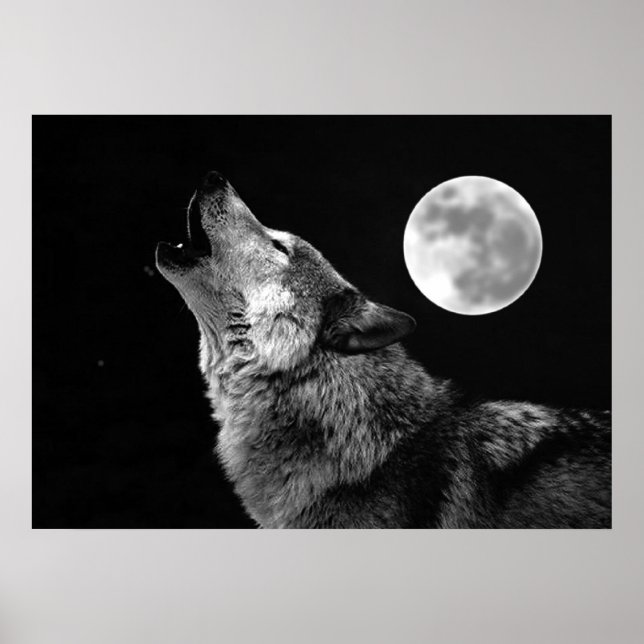Cartaz de Impressão do Lobo Cinzento e Lua (Frente)
