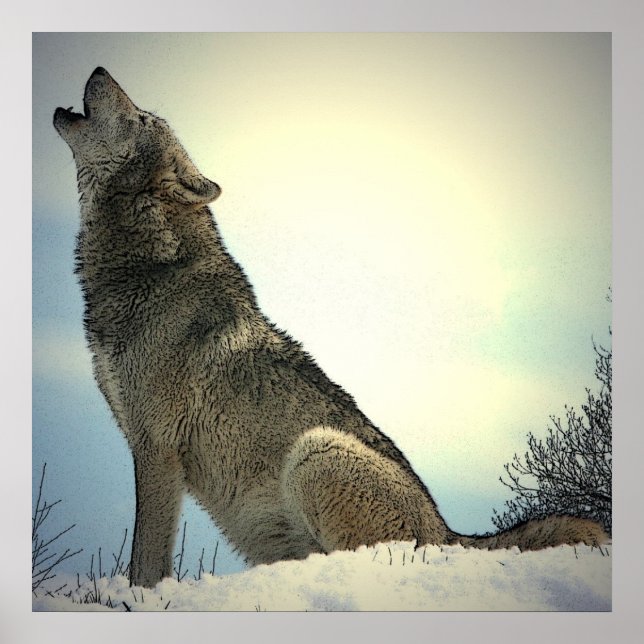 Cartaz de Impressão do Lobo Uivando (Frente)