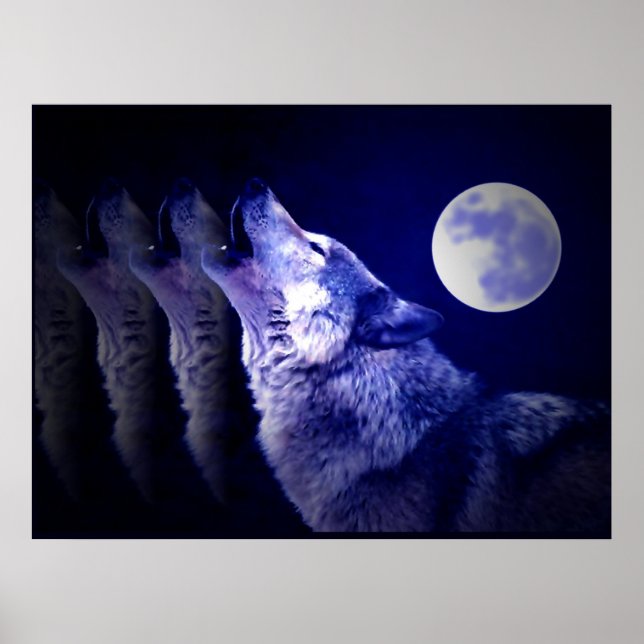 Cartaz de Impressão do Lobo Uivando para a Lua - C (Frente)