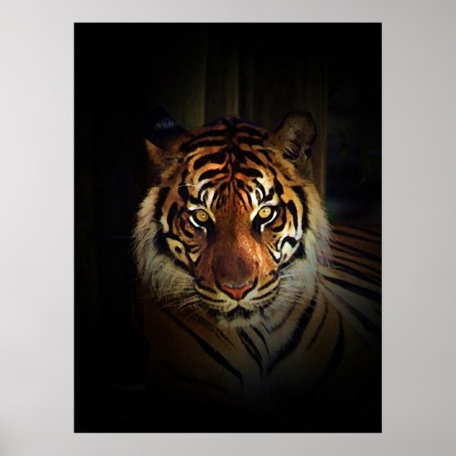 Cartaz de Impressão do Tigre de Sumatra (Frente)