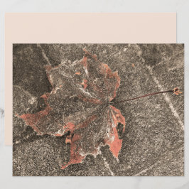 Cartaz de outono Folha de Folha de Folha de Folha 