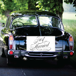 Cartaz do Carro do Recem casados Removido