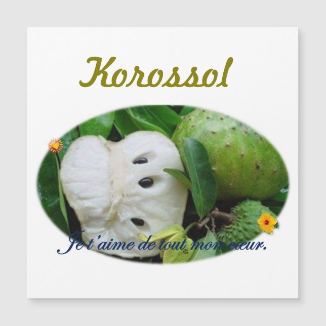 Carte magnétique (Frente)