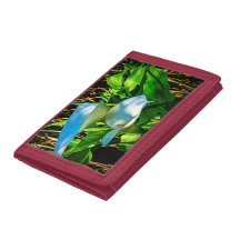 Carteira dos lírios de Calla
