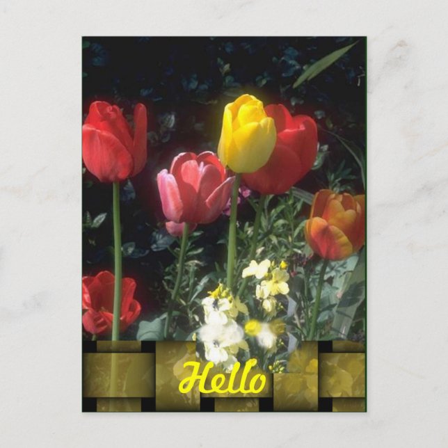 Cartões Alô (Frente)