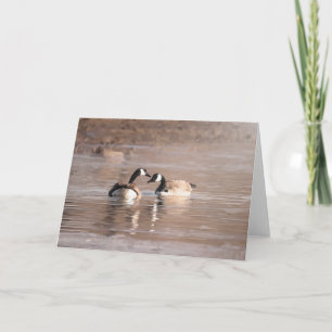 Cartões "Amor" para a Vida Selvagem e para o Exter