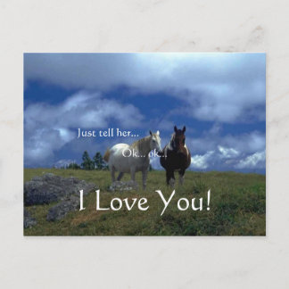 Cartões animais bonitos