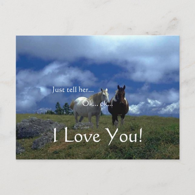 Cartões animais bonitos (Frente)