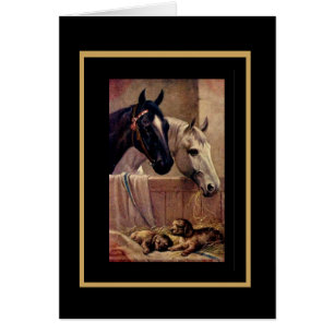 Cartões Antigos Cavalos Cães