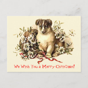 Cartões bonitos e cartão do Feliz Natal do cão