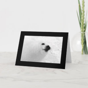 Cartões brancos pretos de Natal Feriado branco p