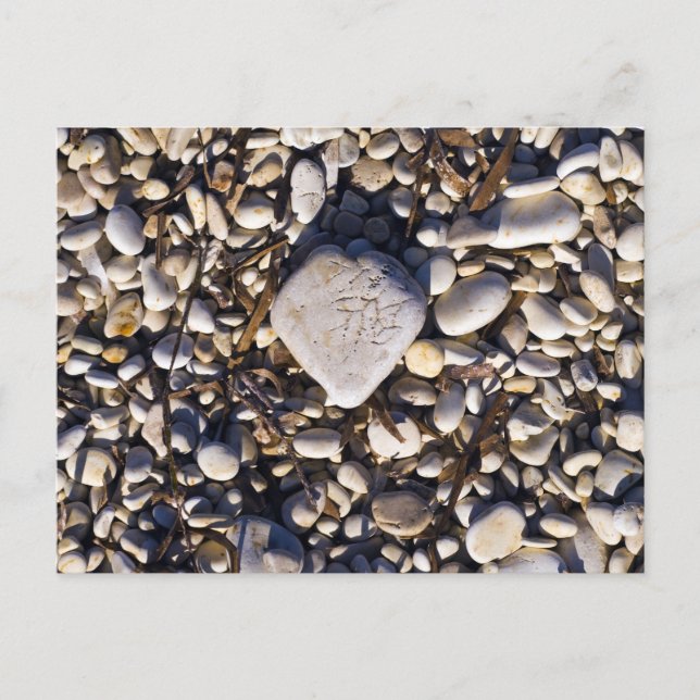 Cartões Cardíacos Natureza (Frente)