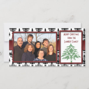 Cartões com fotos da árvore de Damasco Verde Chand