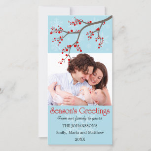 Cartões com fotos de Berry de inverno e Flocos de