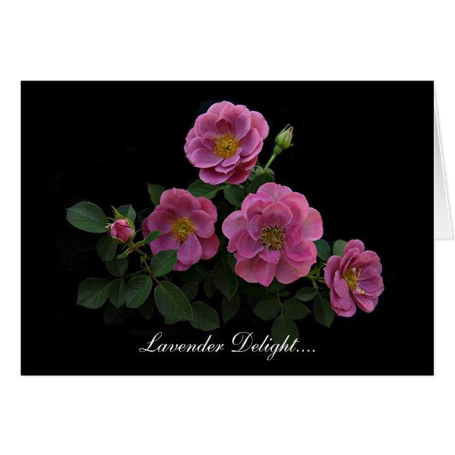 Cartões cor-de-rosa por Stan o Roseman (Frente Horizontal)