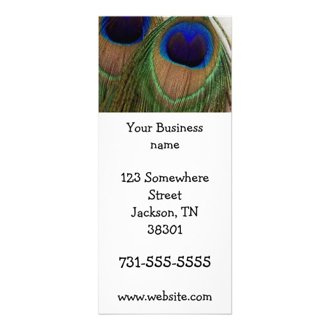 Cartões da cremalheira da pena do pavão (Frente)