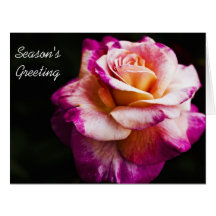 Cartões da estação do ano novo - rosa do roxo