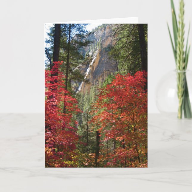 Cartões da fantasia da queda 14) ( (Frente)