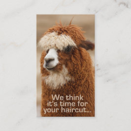Cartões da nomeação do hairstylist da alpaca