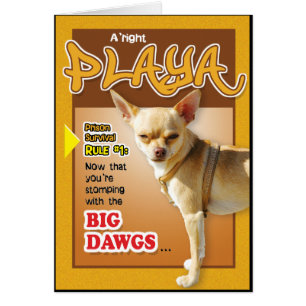 Cartões da prisão - Dawg superior