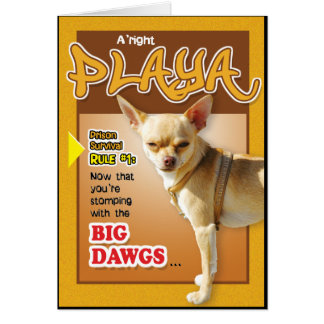 Cartões da prisão - Dawg superior