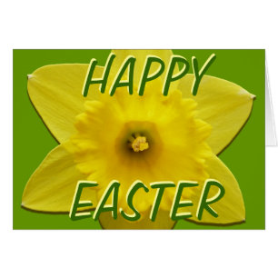 Cartões Daffodil Cartões De Flor Daffodil Personal