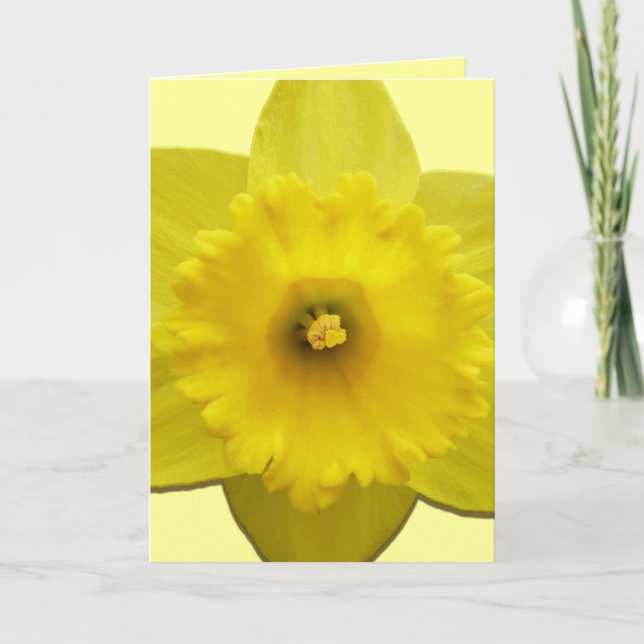 Cartões Daffodil Cartões De Flor Daffodil Personal (Frente)