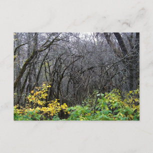 Cartões das madeiras do inverno