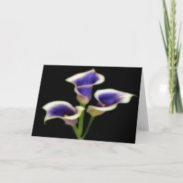 Cartões de Abertura Floral Tripla Roxo Real