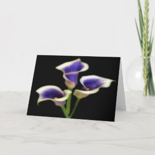 Cartões de Abertura Floral Tripla Roxo Real