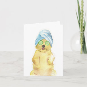 Cartões de Agradecimento de Morkie Poo em Aquarela