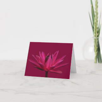 Cartões de Agradecimento em Branco com Flor de Lót