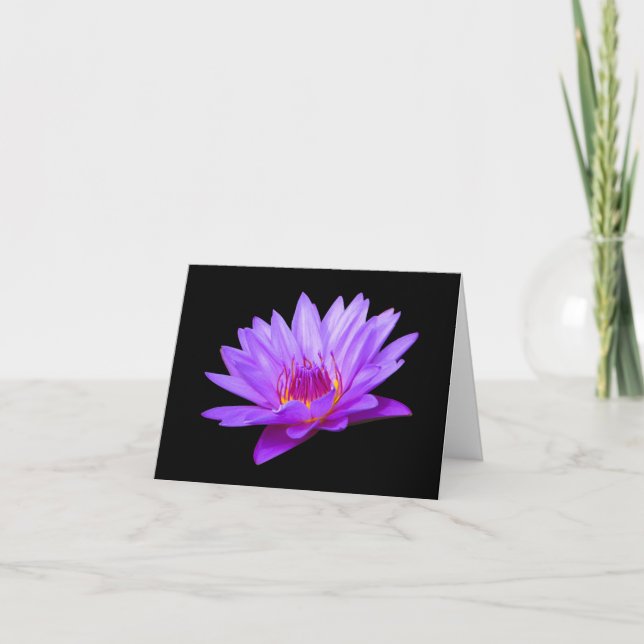 Cartões de Agradecimento em Branco de Nenúfar Roxo (Frente)