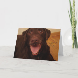 cartões de agradecimentos