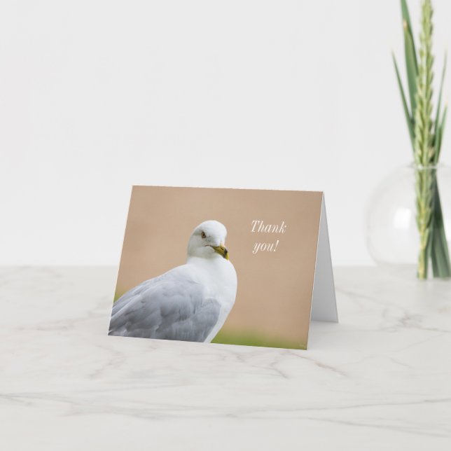 Cartões de agradecimentos (Frente)