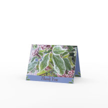 Cartões de agradecimentos