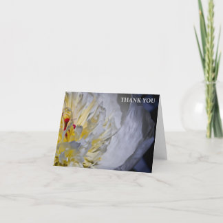 Cartões de agradecimentos