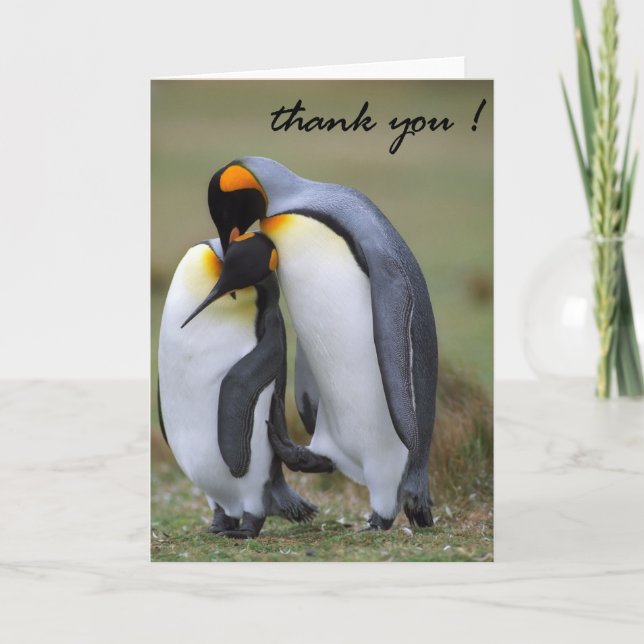 Cartões de agradecimentos (Frente)