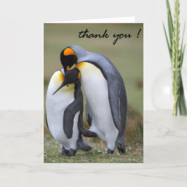Cartões de agradecimentos