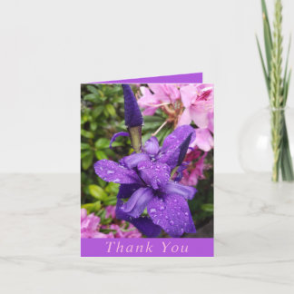 Cartões de agradecimentos