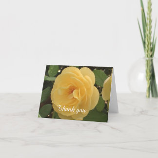 Cartões de agradecimentos Amarelo da Camellia