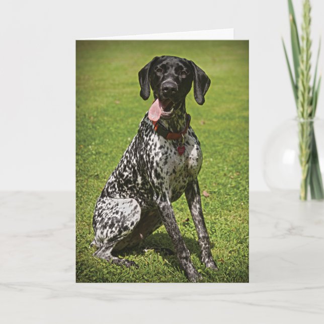 Cartões de agradecimentos Augie (Frente)