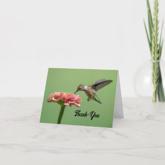 Cartões de agradecimentos bonito de Hummingbird